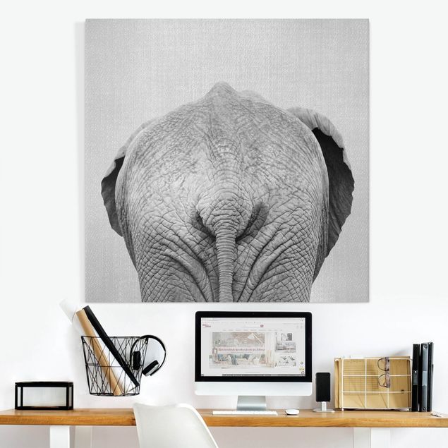 Quadri con elefanti Elefante da dietro bianco e nero