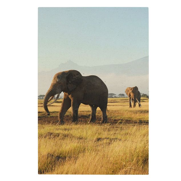 Quadri moderni per soggiorno Elefanti di fronte al Kilimangiaro in Kenya