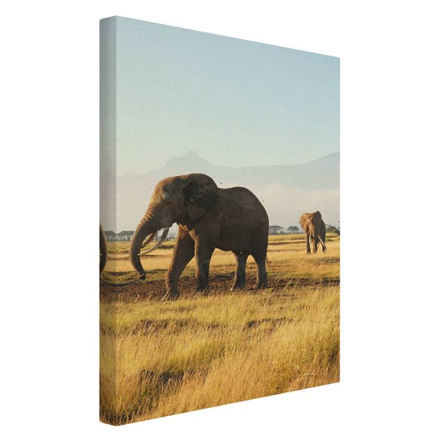 Stampa su tela Elefanti di fronte al Kilimangiaro in Kenya