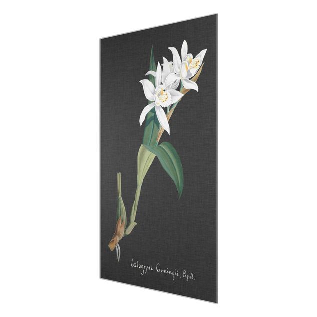 Quadro in vetro - White Orchid su lino II - Verticale 3:2
