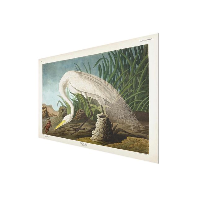 Quadro in vetro - Vintage White Board Heron II - Orizzontale 2:3