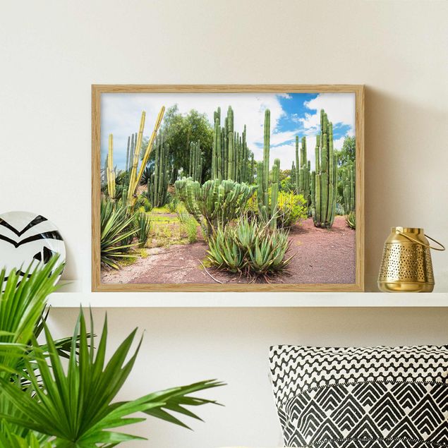 Philippe Hugonnard Paesaggio di cactus