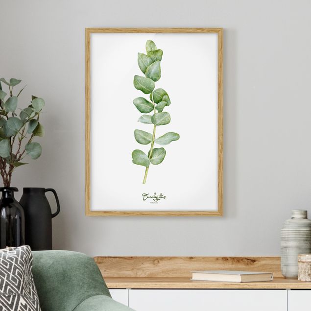 Poster con cornice - Watercolor Botany Eucalyptus - Verticale 4:3