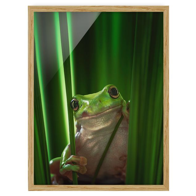 Poster con cornice - Merry Frog - Verticale 4:3