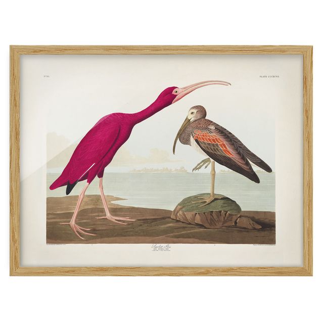 Poster con cornice - Vintage Consiglio Rosso Ibis - Orizzontale 3:4