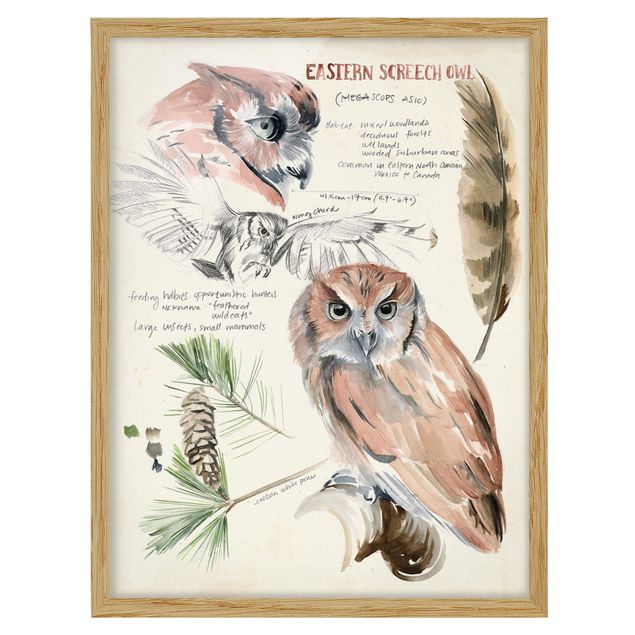 Poster con cornice - Wilderness Journal - Owl - Verticale 4:3