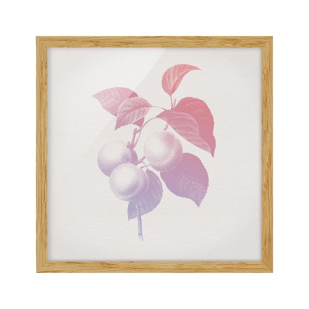 Poster con cornice - Moderna Vintage botanico Peach Rosa Viola - Quadrato 1:1