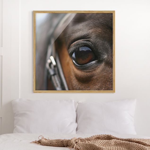 Poster con cornice - Horse Eye No.3 - Quadrato 1:1