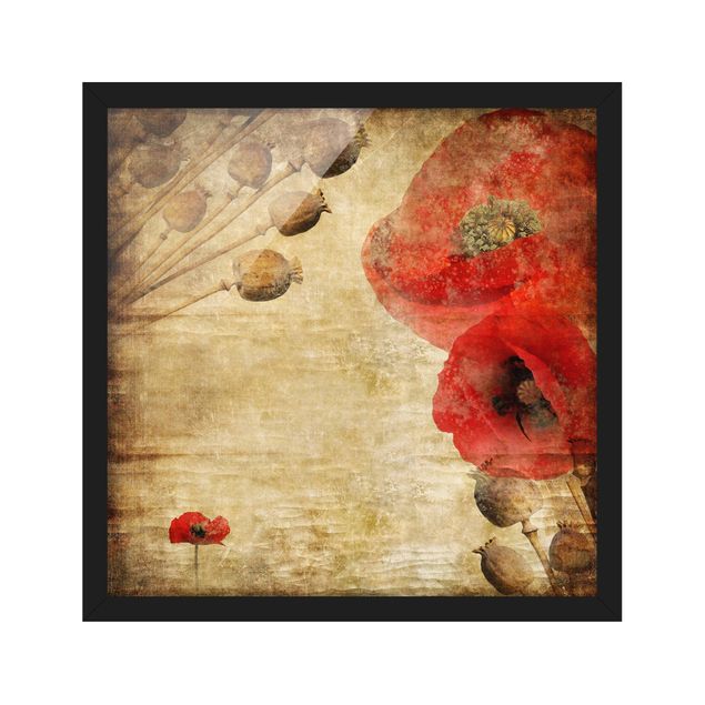 Poster con cornice - Poppy Flower - Quadrato 1:1
