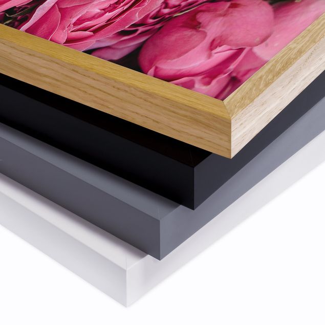 Poster con cornice - peonie rosa - Panorama formato orizzontale
