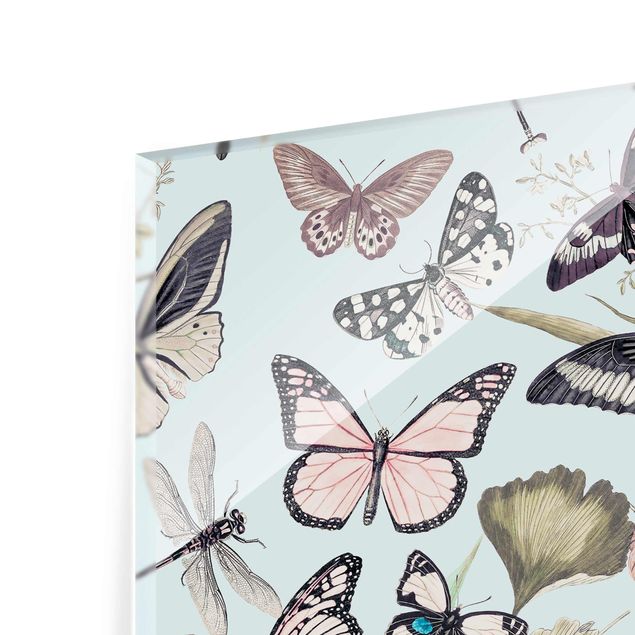 Quadro in vetro - Vintage Collage - farfalle e libellule - Quadrato 1:1