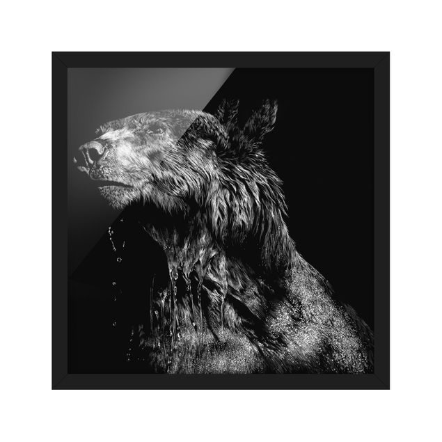 Poster con cornice - Bear In The Dark - Quadrato 1:1