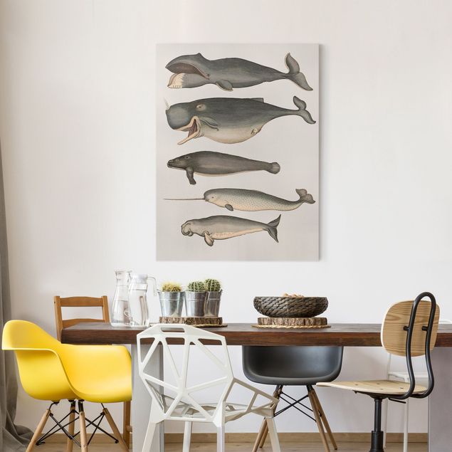 quadri con animali Cinque balene vintage
