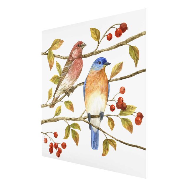 Quadro in vetro - Birds And Berries - Bluebird - Quadrato 1:1