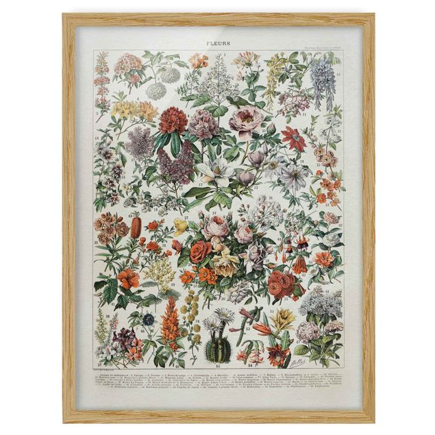 Poster con cornice - Vintage Consiglio Flowers II - Verticale 4:3