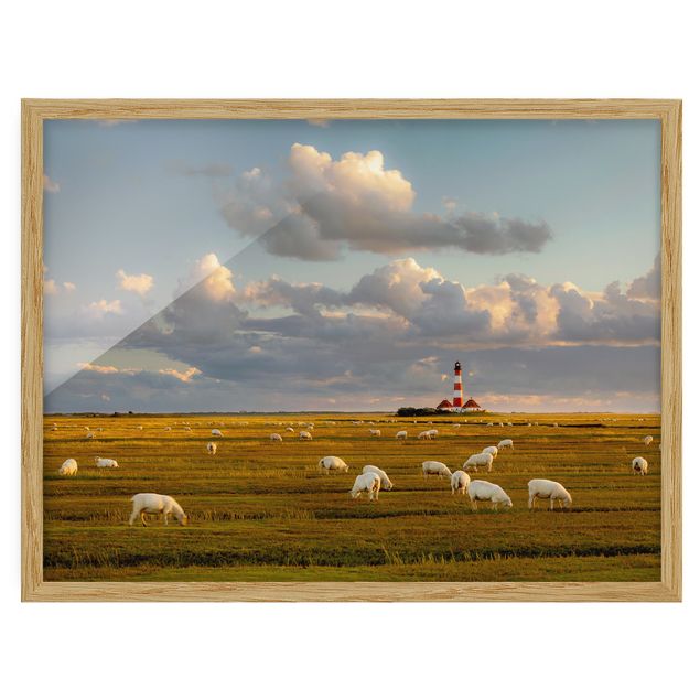 Poster con cornice - North Sea Lighthouse With Sheep Herd - Orizzontale 3:4