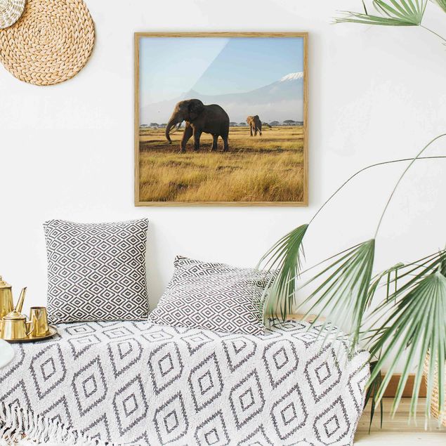 Poster con cornice - Elephants In Front Of The Kilimanjaro In Kenya - Quadrato 1:1