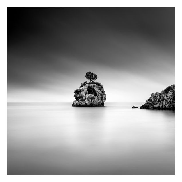 Carta da parati - Isola rocciosa nel mare in bianco e nero