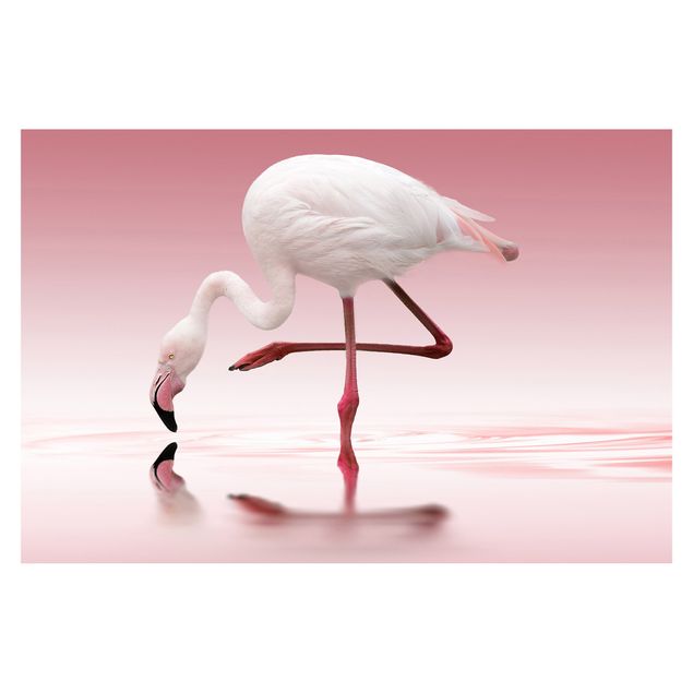 Carta da parati - Flamingo Dance