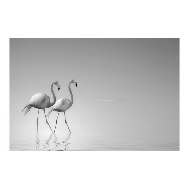 Carta da parati - Flamingo Love in bianco e nero