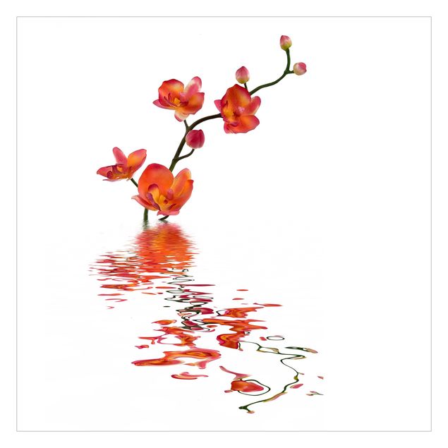 Carta da parati - Orchidea rossa sull'acqua