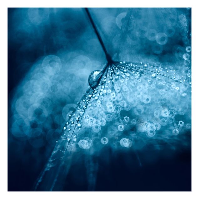 Carta da parati - Soffione blu nella pioggia