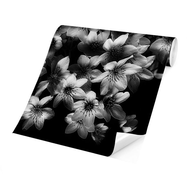 Carta da parati - Bouquet di fiori su nero