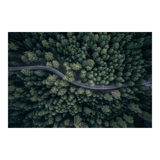 Carta da parati - Veduta aerea - Strada nella foresta dall'alto