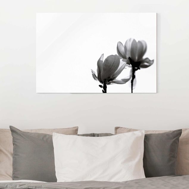 Lavagna magnetica vetro Magnolia araldo di primavera in bianco e nero
