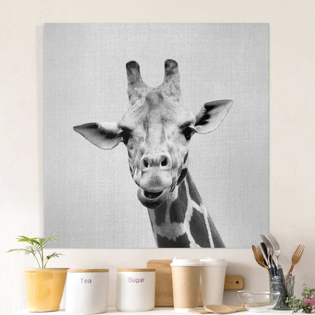 Quadri con giraffe Giraffa Gundel Bianco e Nero