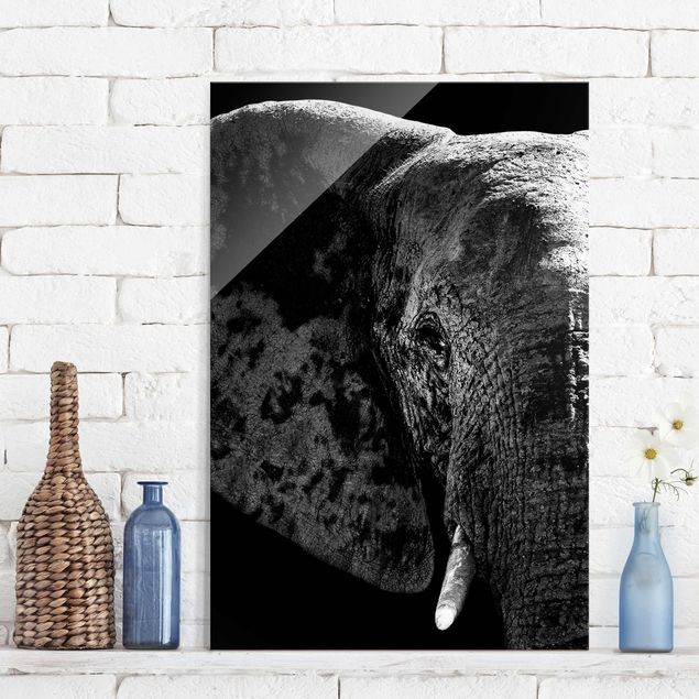 quadri con animali Elefante africano in bianco e nero