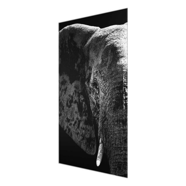 Quadro in vetro - African Elephant black-white - Verticale 2:3