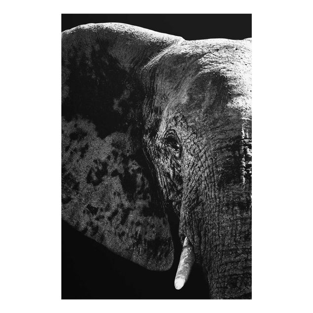 Quadro in vetro - African Elephant black-white - Verticale 2:3
