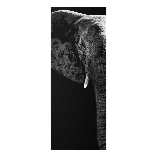 Quadro in vetro - African Elephant black-white - Pannello