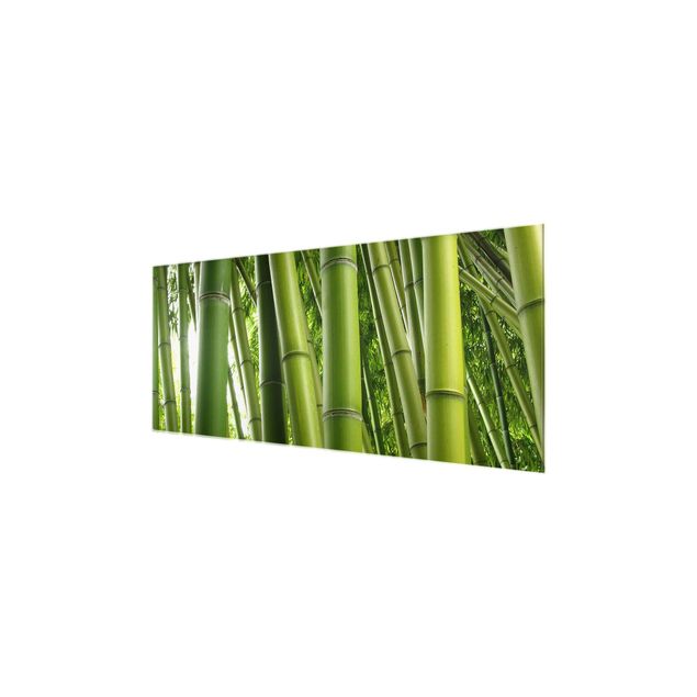 Quadro in vetro - Bamboo Trees No.1 - Panoramico