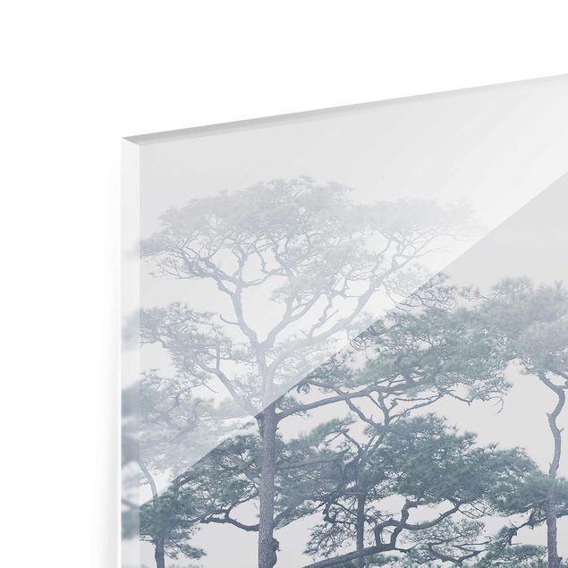 Quadro in vetro - Treetops In Fog - Orizzontale 3:2