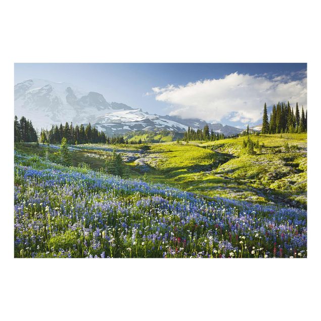 Quadro in vetro - Prato di montagna con fiori blu davanti al monte Rainier