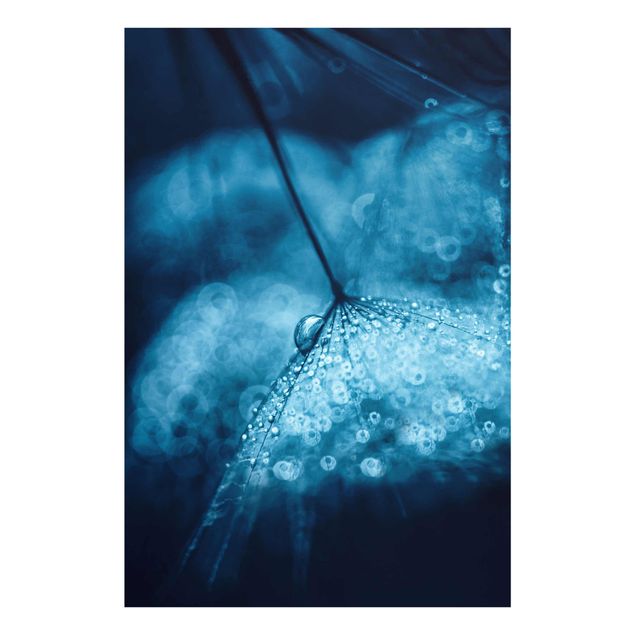 Quadro in vetro - Tarassaco Blu In The Rain - Verticale 2:3