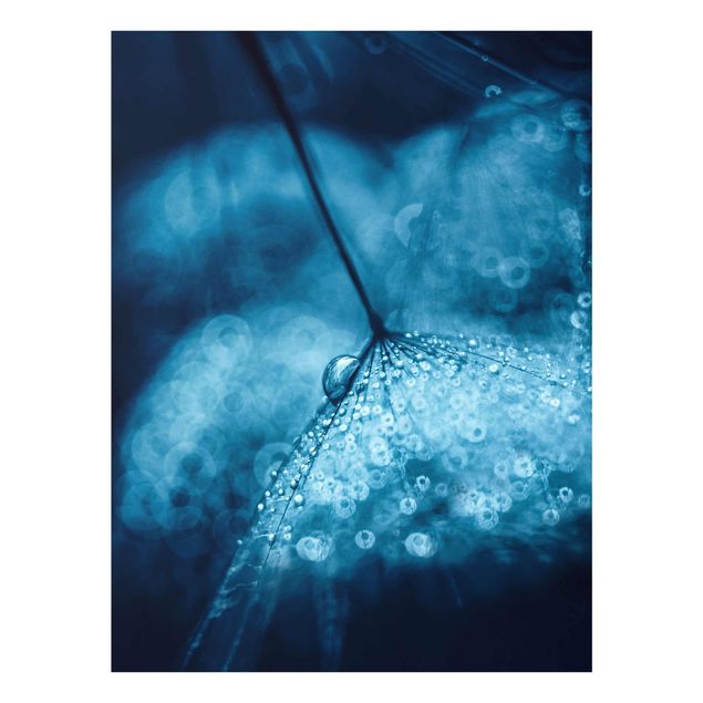 Quadro in vetro - Tarassaco Blu In The Rain - Verticale 3:4