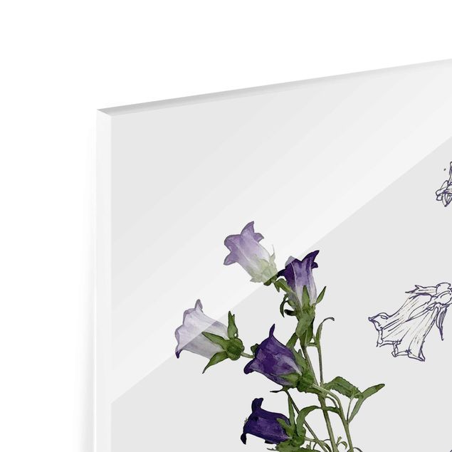 Quadro in vetro - Acquerello Botanico - Bellflower - Verticale 2:3