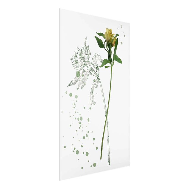Quadro in vetro - Acquerello Botanico - Lily - Verticale 2:3