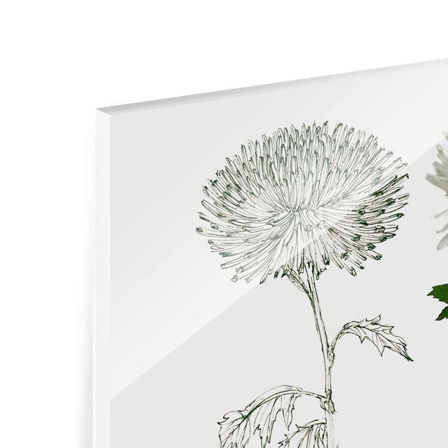 Quadro in vetro - Acquerello Botanico - Dandelion - Verticale 2:3