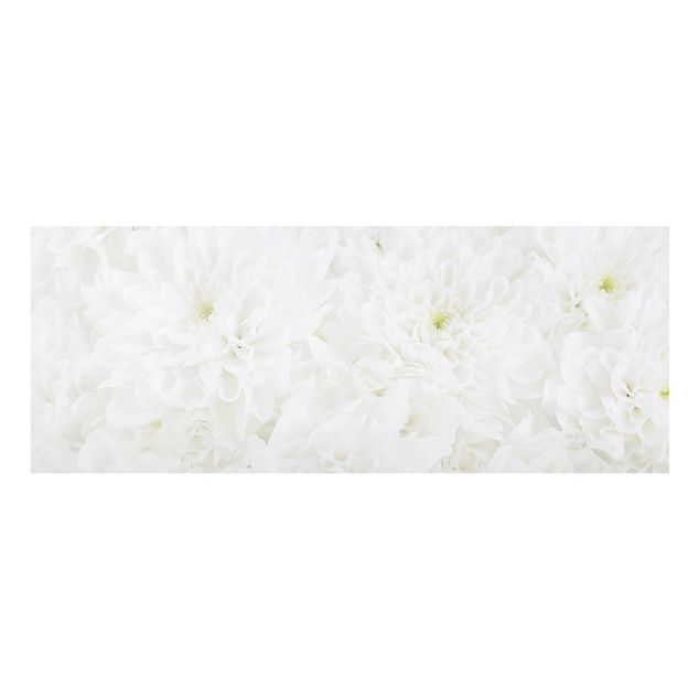 Quadro in vetro - Dahlias sea of flowers white - Panoramico