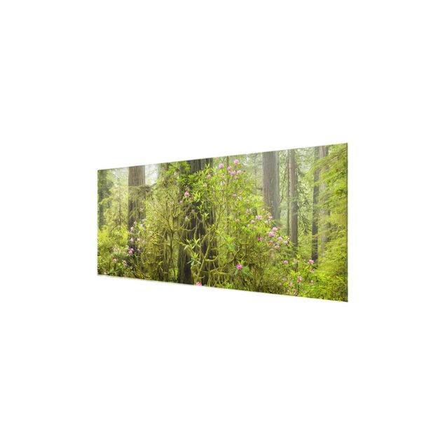 Quadro in vetro - Del Norte Coast Redwoods State Park California - Panoramico