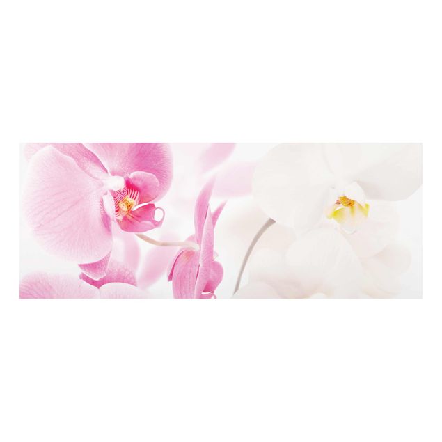Quadro in vetro - Delicate Orchids - Panoramico