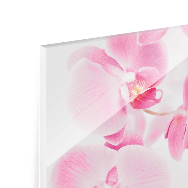 Quadro in vetro - Delicate Orchids - Orizzontale 4:3