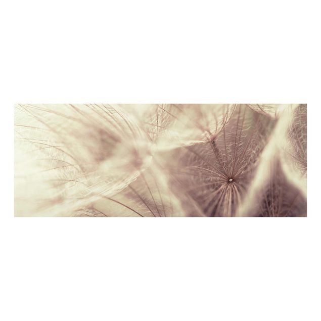 Quadro in vetro - Detailed Dandelions macro shot with vintage Blur effect - Panoramico