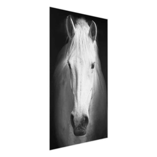 Quadro in vetro - Dream of a Horse - Verticale 2:3