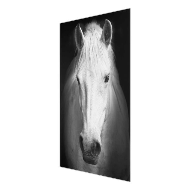 Quadro in vetro - Dream of a Horse - Verticale 2:3