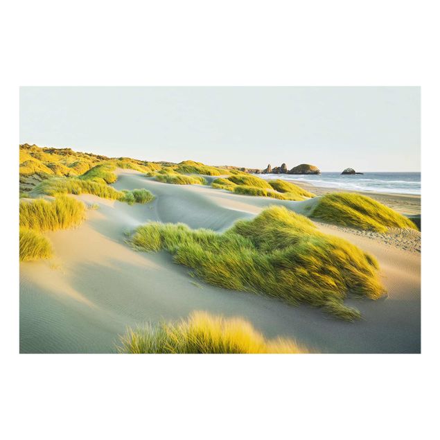 Quadro su vetro - Dunes and grasses at the sea - Orizzontale 3:2